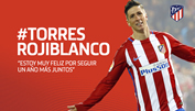 Fernando Torres Atletico