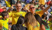 Brasilien Fans