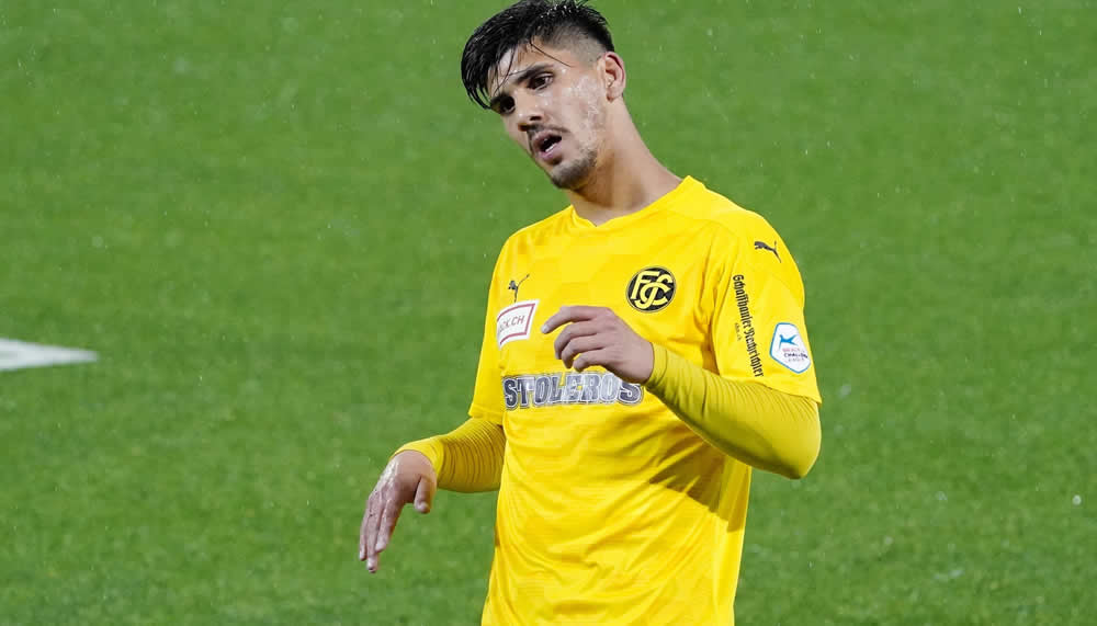 GC hat 3 Transferziele: Zwei Stürmer und ein Ösi-Verteidiger