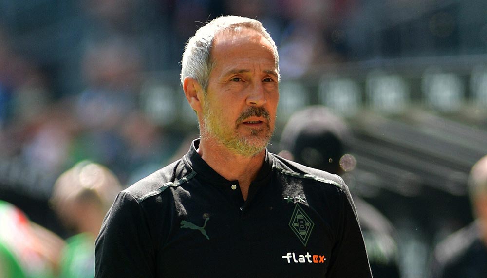 Adi Hütter ist ein Kandidat bei einem Premier Ligisten