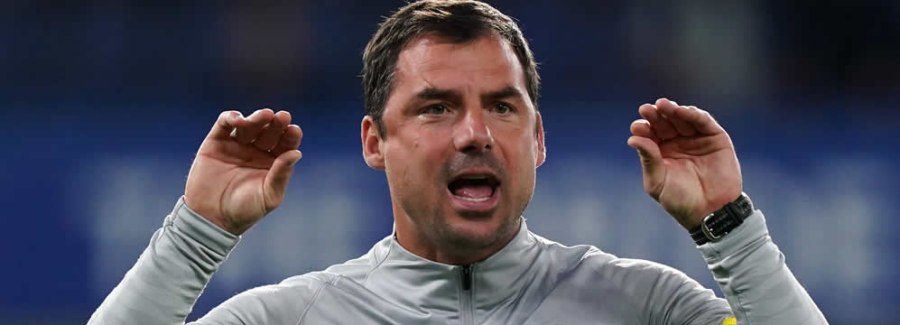 Zsolt Löw ist ein TopKandidat beim VfB Stuttgart