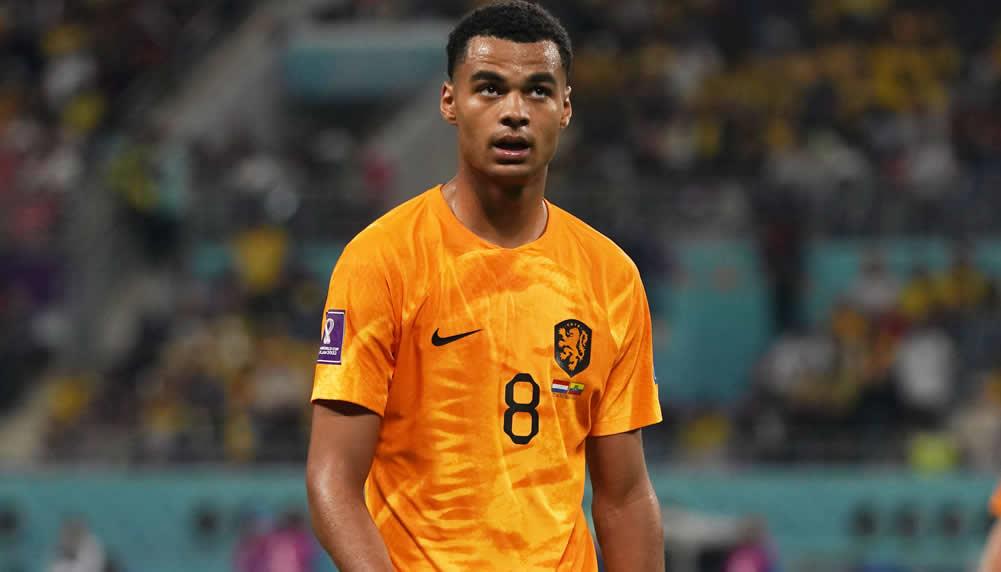 Die Bayern wollen Gespräche mit Oranje-Star Cody Gakpo führen