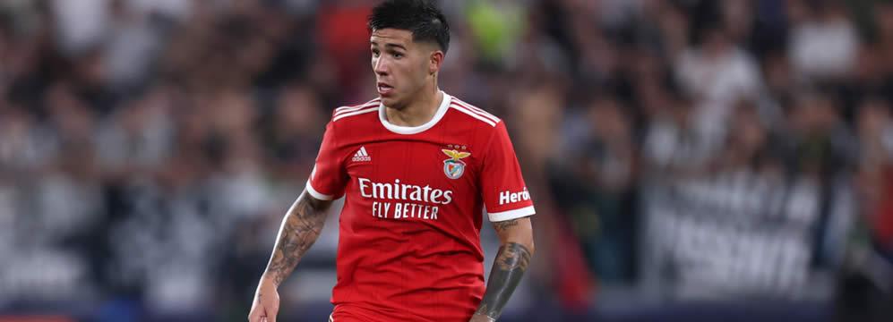 Benfica streicht Enzo Fernandez vorerst aus dem Kader