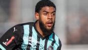 Willem Geubbels