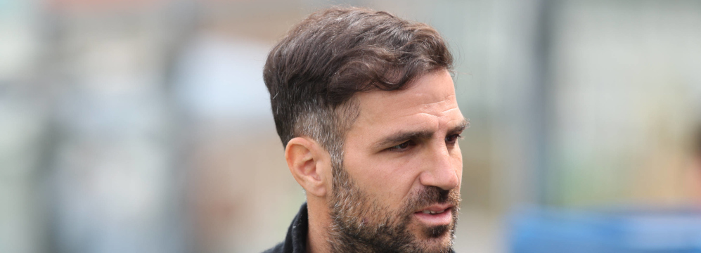 Cesc Fabregas