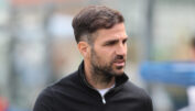 Cesc Fabregas