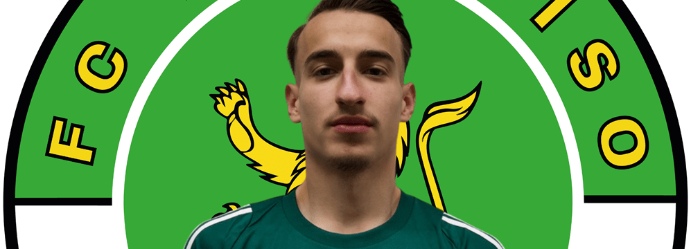 Ardit Destani FC Paradiso 997