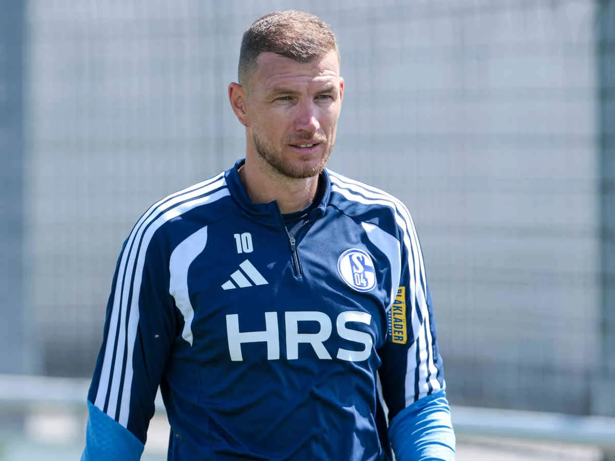Die Vertragsdetails von Edin Dzeko bei Schalke wurden enthüllt