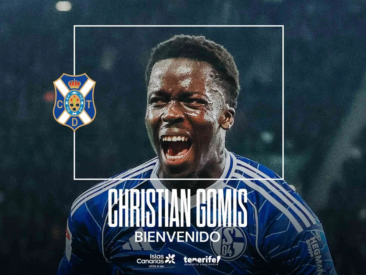Ex-Winti-Stürmer Christian Gomis verlässt Schalke 04